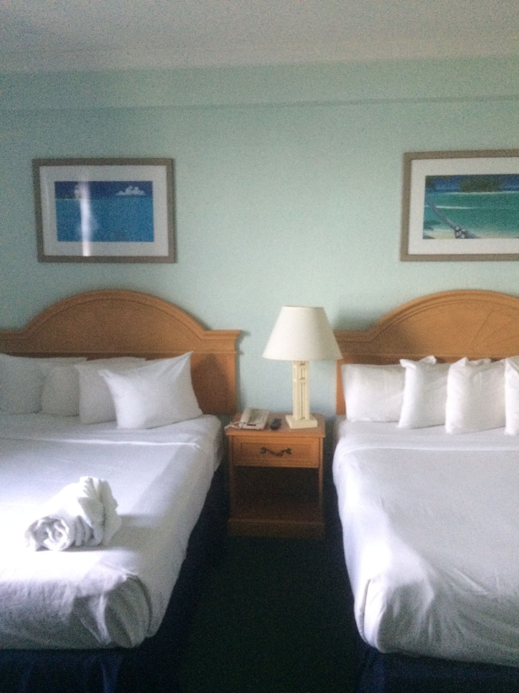 Hollywood Beach Resort one Bedroom Sleeps 6 - photo 4