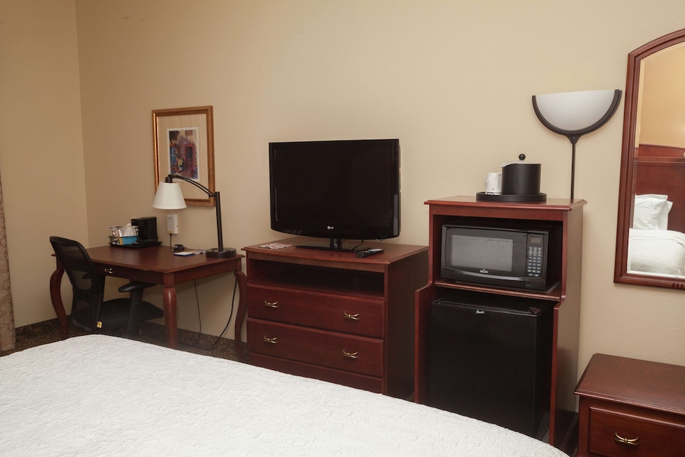 Hampton Inn Oneonta - photo 8