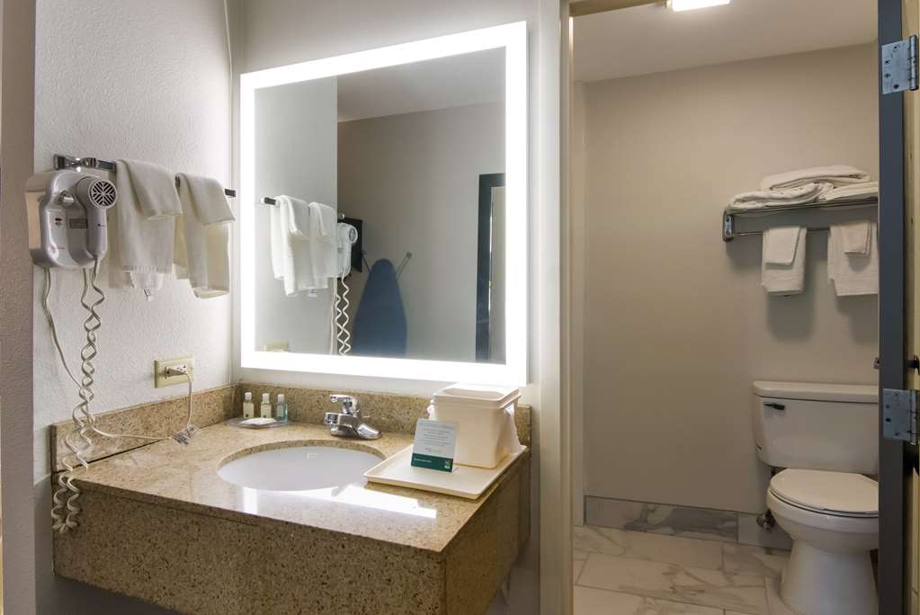 Quality Inn Aurora Naperville Area - photo 10