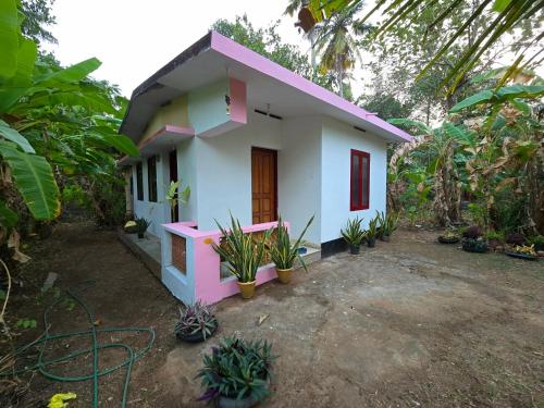 La ixora — Varkala — photo 3