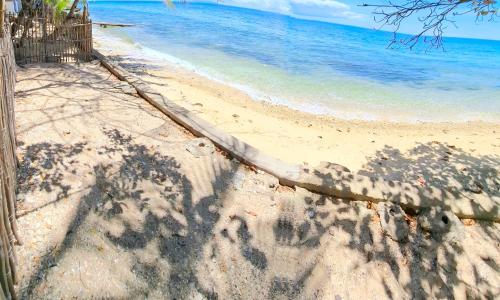Wujob Beach Campsite 21734946 — Boljoon