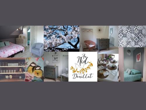 Au Nid Douillet — Seigy