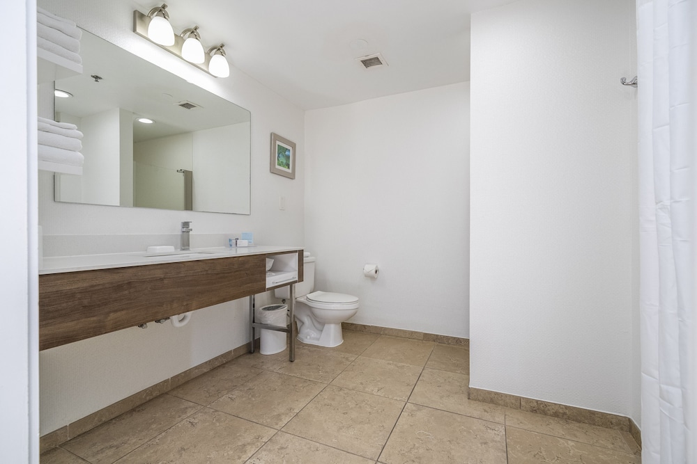 Hampton Inn Spring Hill - photo 10