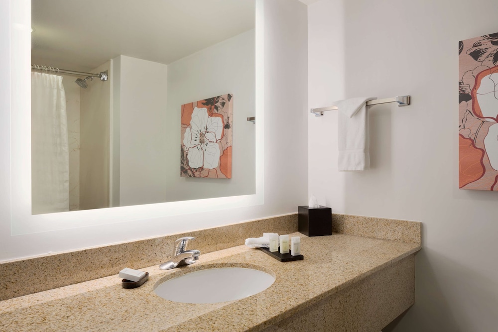 Embassy Suites by Hilton Denver International Airport - photo 29