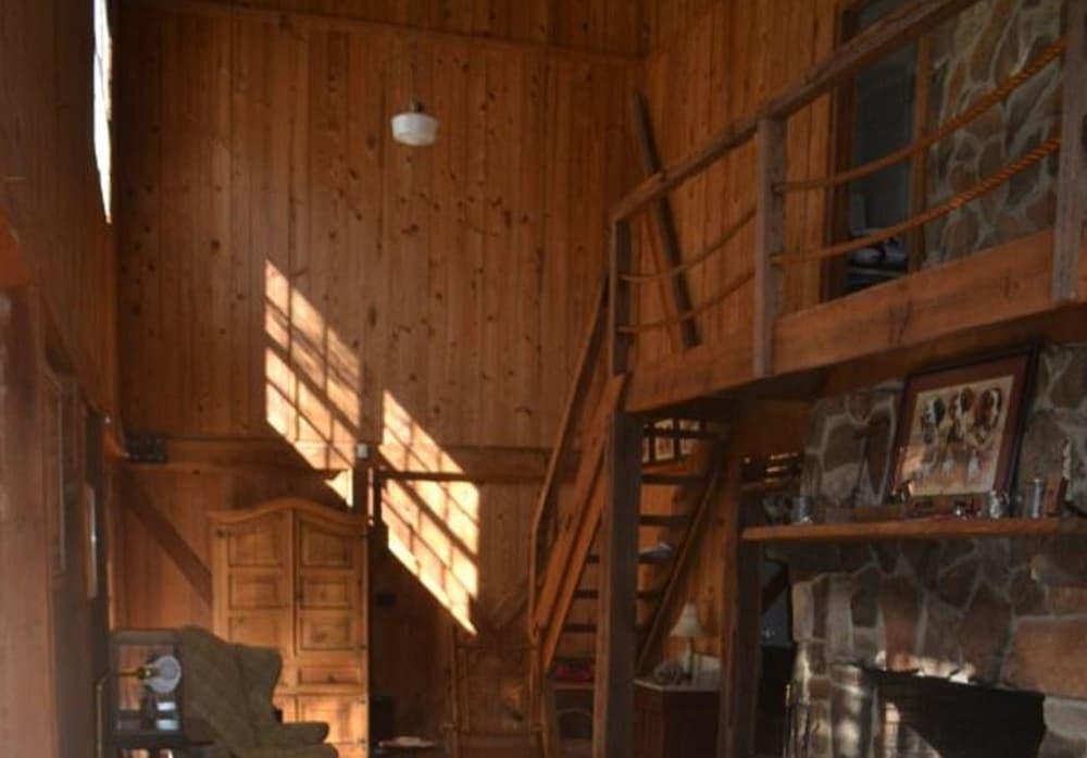 The Cotton Gin - photo 12