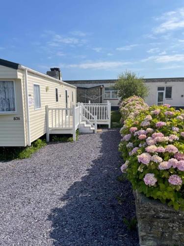 Sandydaze in Padstow, United Kingdom