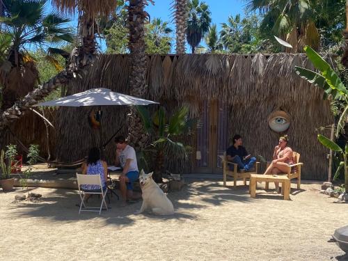 La Sardina in Todos Santos, Mexico