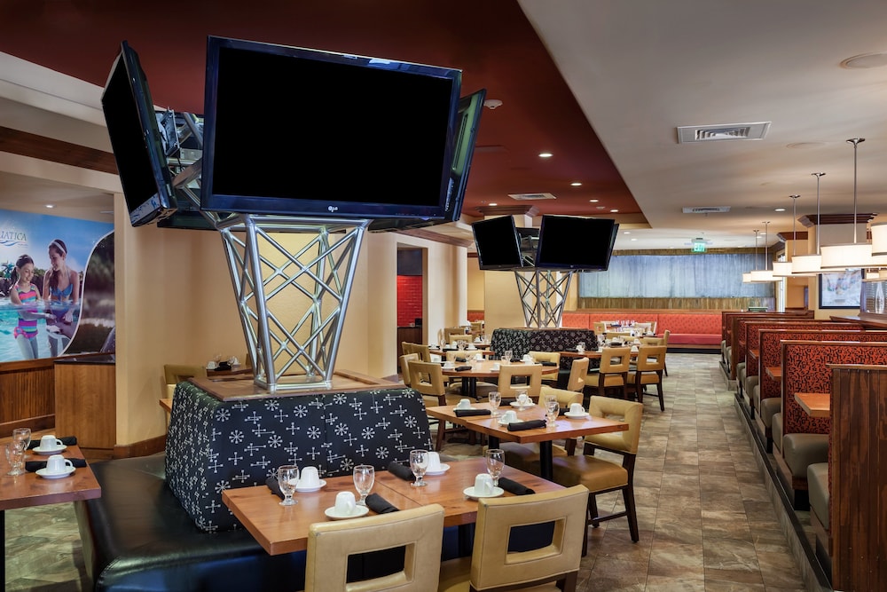 Holiday Inn San Antonio Seaworld by IHG - photo 30