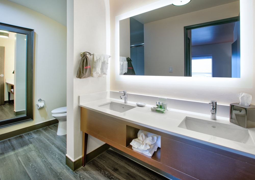 Holiday Inn Dfw South By Ihg - photo 24