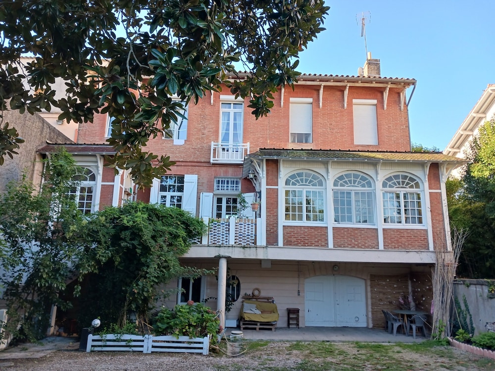 Vanille Bourbon — Montauban — photo 2