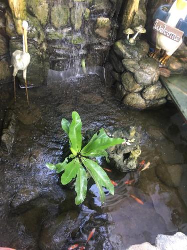 Isteraha Haven&Suites — Zamboanga — photo 4
