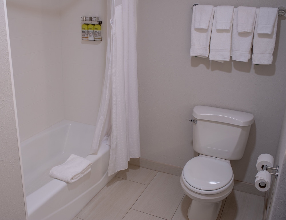 Holiday Inn Express Hotel & Suites Conover by IHG - photo 17