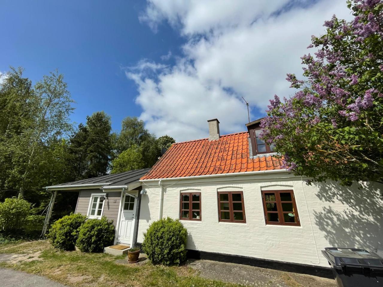 A true nature pearl in idyllic surroundings but close to the city in Holbaek, Denmark