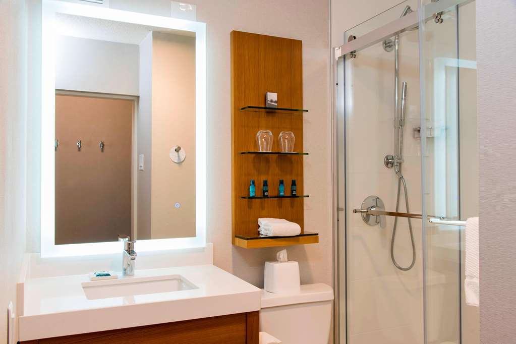 Sonesta Hotel Grand Rapids Airport - photo 15