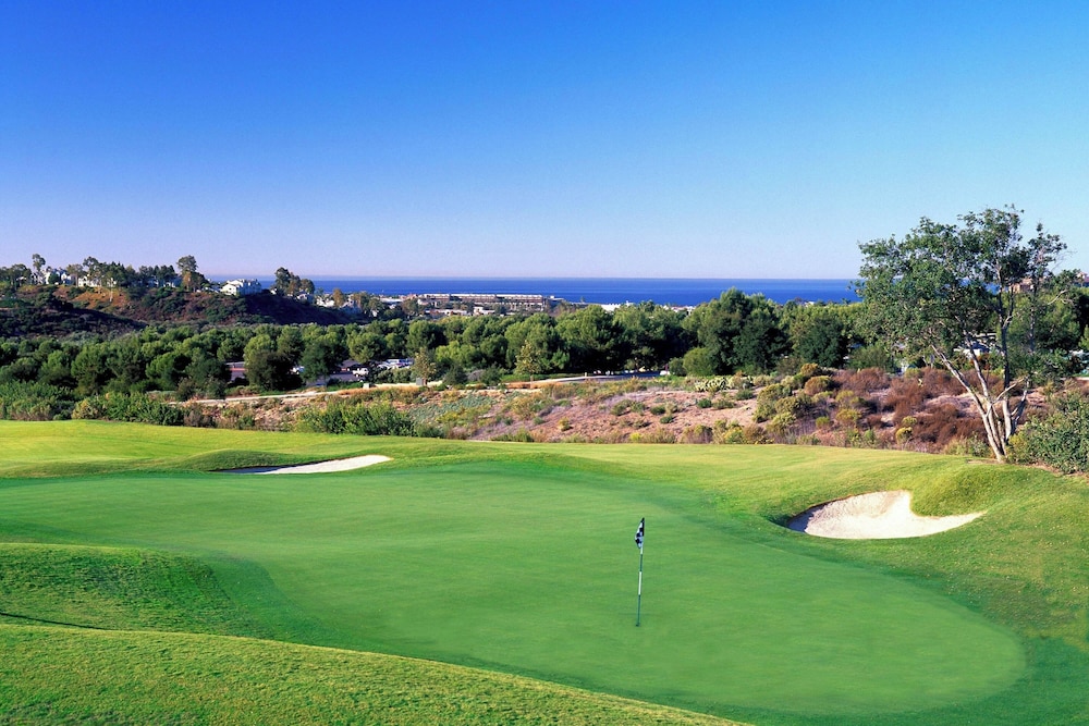 Sheraton Carlsbad Resort & Spa - photo 52