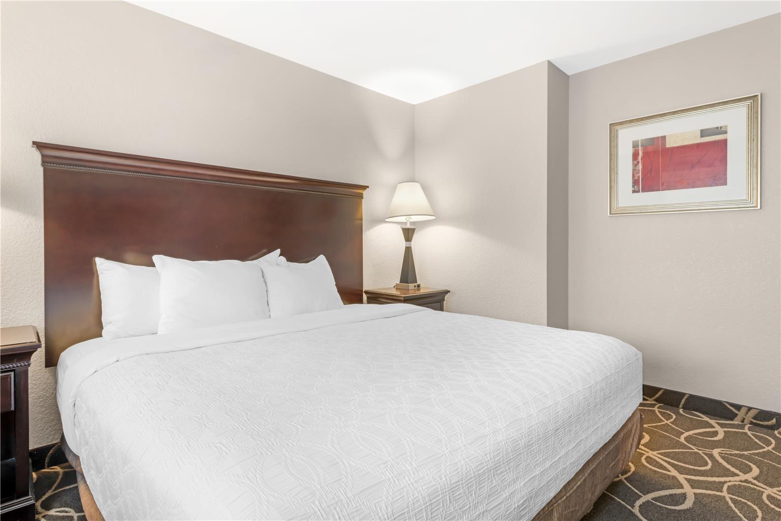 Best Western Plus Eau Claire Conference Center - photo 30