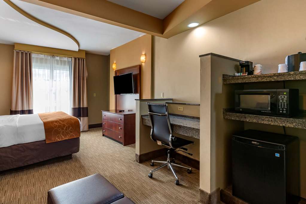 Comfort Suites Perrysburg Toledo South - photo 20