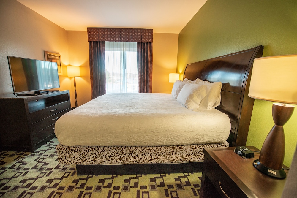 Hilton Garden Inn Birmingham Trussville - photo 10