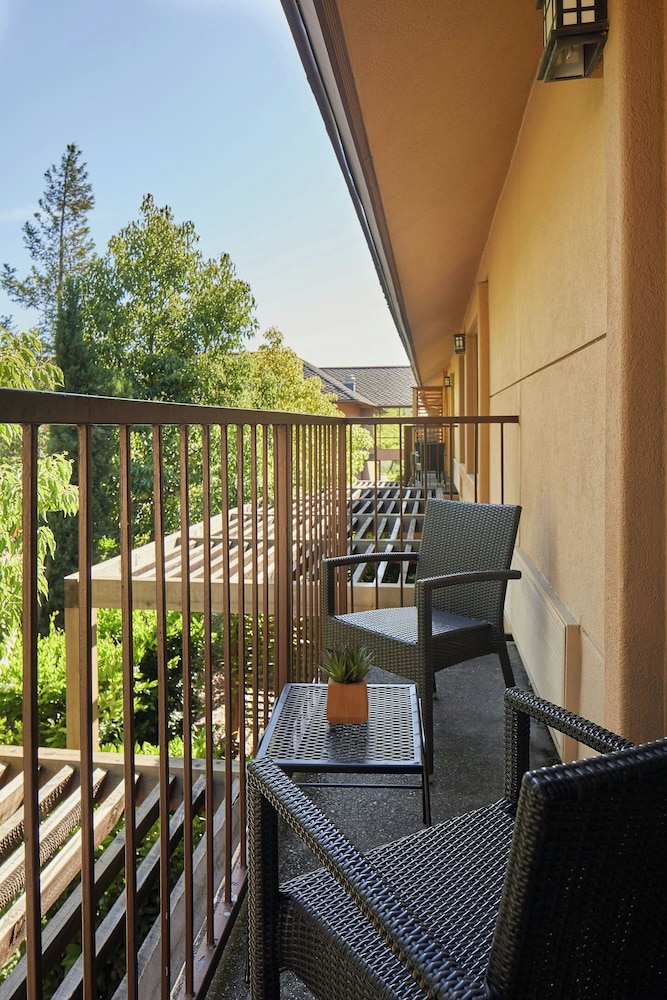 Napa Valley Marriott Hotel & Spa - photo 39