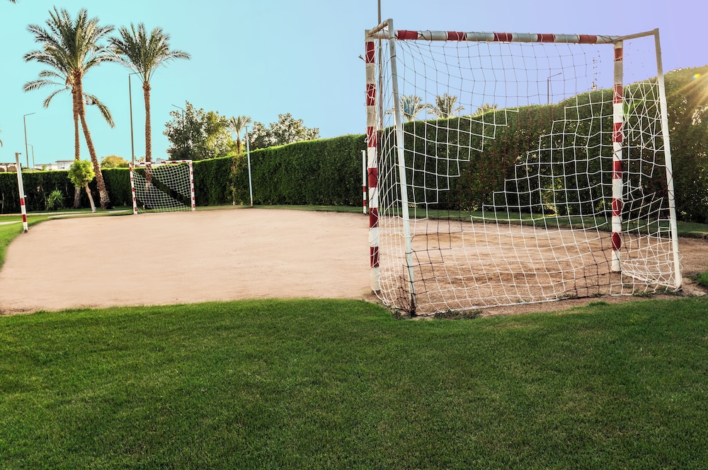 מראה חיצוני