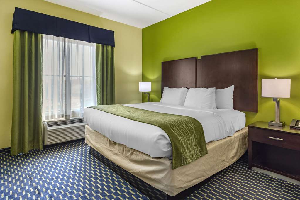 Comfort Inn Athens - photo 26