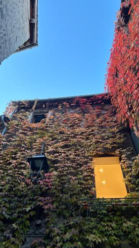 Casa Lunatica — 4-Star Luxury Hotel in Viterbo, Italy