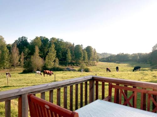 Three Bedroom Cottage Scenic Farm Views Lake Access and Free Boat — 4-Star Luxury Hotel in Valdemarsvik, Sweden