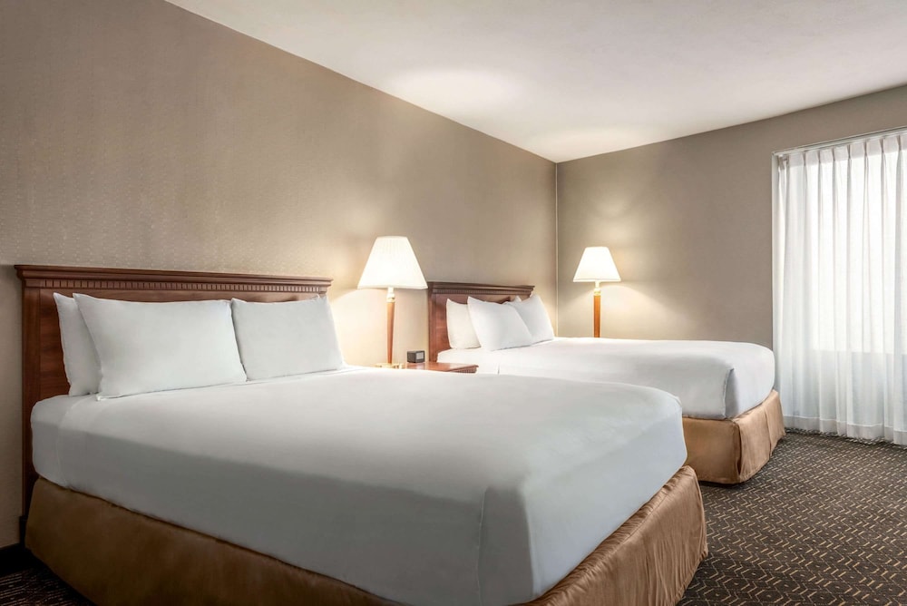 Wyndham Springfield City Centre - photo 17