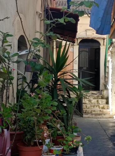 La casa nel vicolo — 4-Star Luxury Hotel in Catania, Italy
