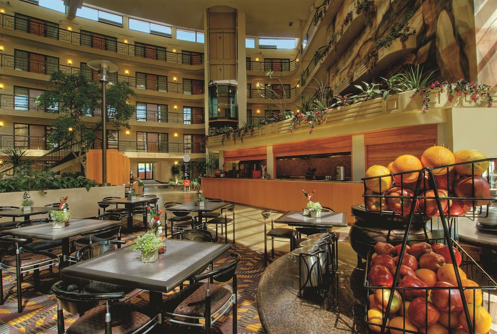 Embassy Suites by Hilton Phoenix Biltmore - photo 5