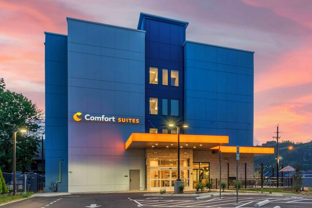 Comfort Suites Gatlinburg Downtown Convention Center - photo 94