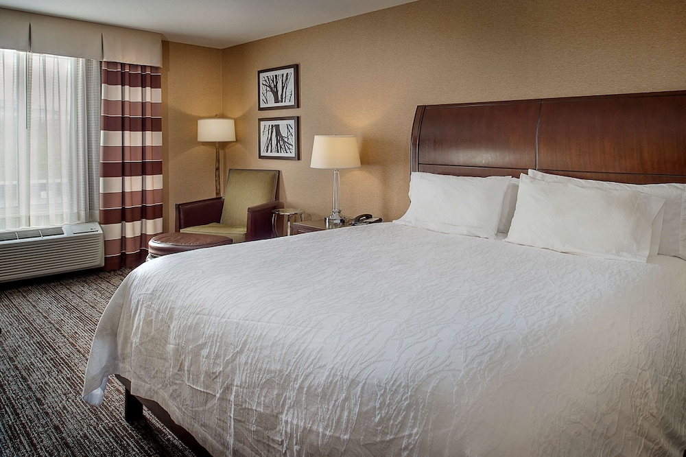 Hilton Garden Inn St. Louis Airport - photo 14