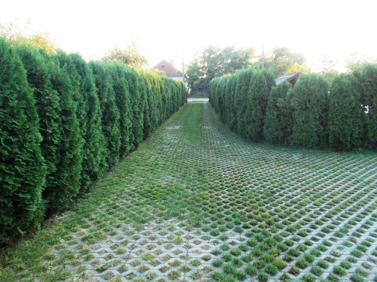 Hetkanyar Vendeghaz — Balatonfured — photo 4