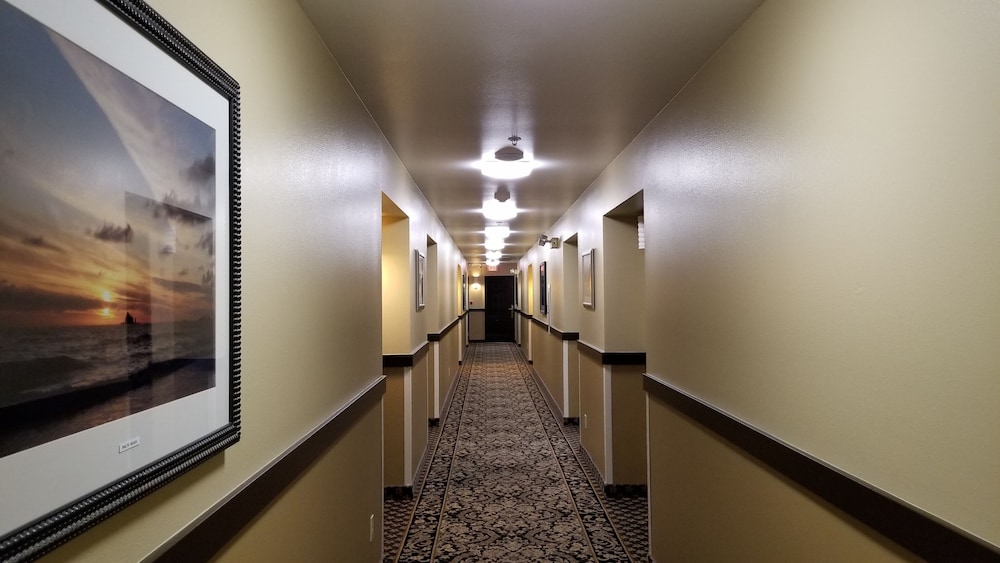 The Dew Drop Inn Motel - photo 51