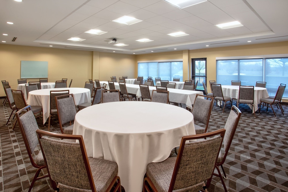 TownePlace Suites by Marriott Detroit Belleville - photo 58