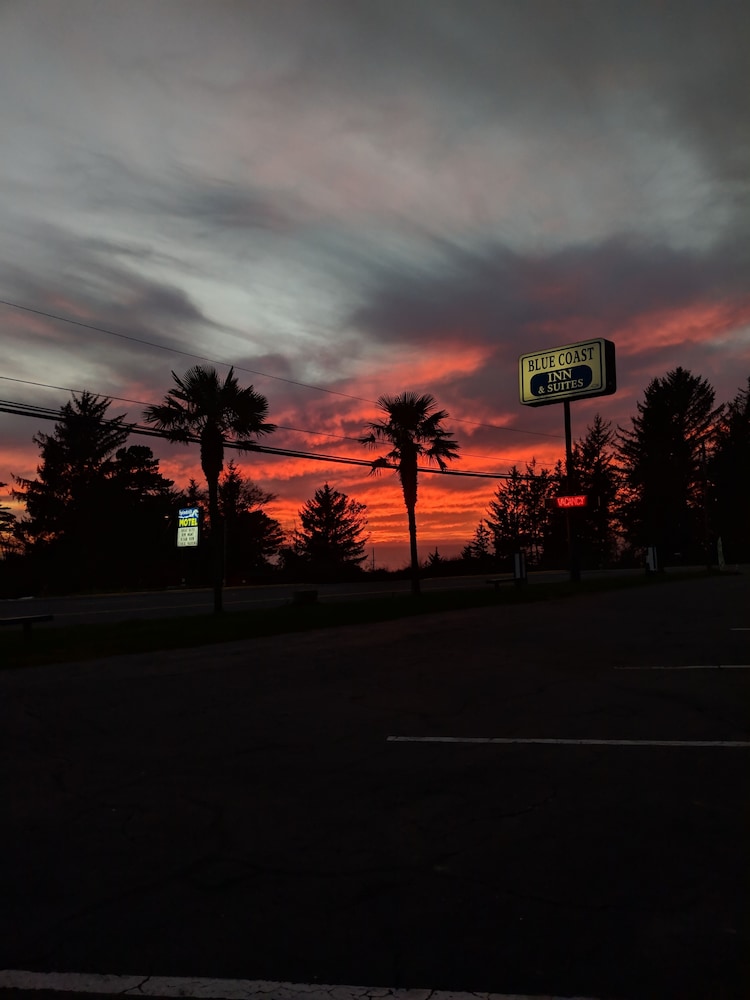 Blue Coast Inn and Suites - photo 42