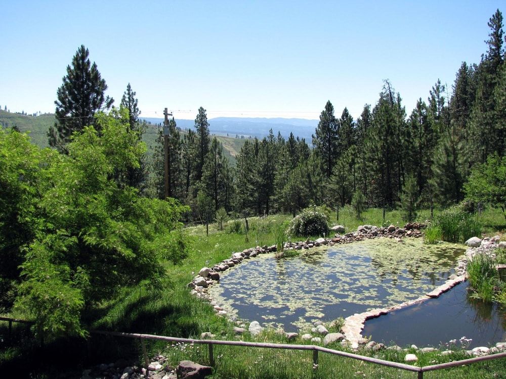 Whitebird Summit Lodge - photo 9
