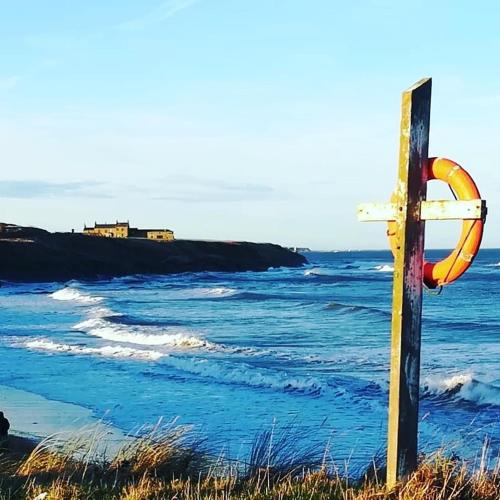 Pot a Doodle Do — Berwick-Upon-Tweed — photo 5