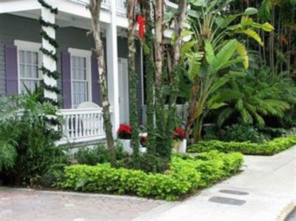 Ambrosia Key West - photo 138