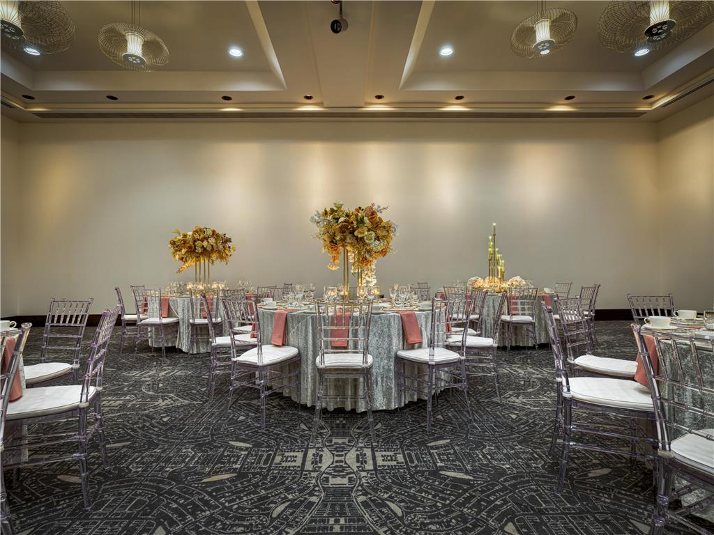 The Royal Sonesta Minneapolis Downtown - photo 83