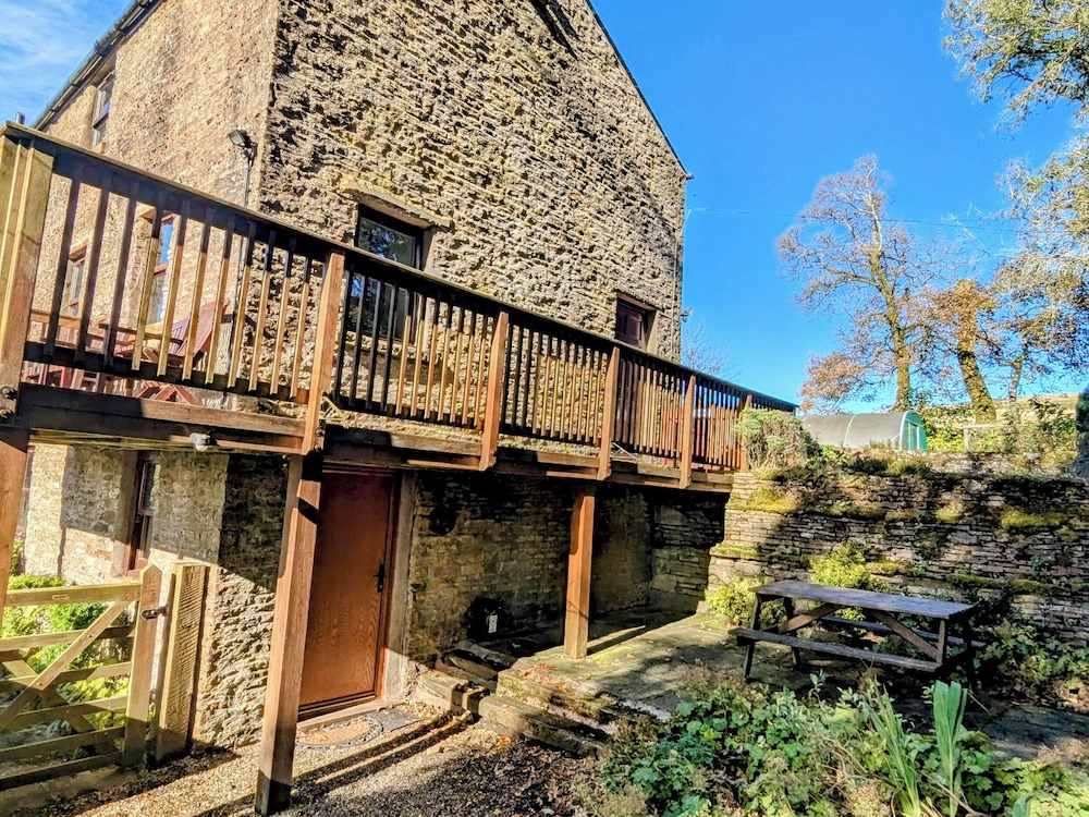 Chestnut in Alston, United Kingdom