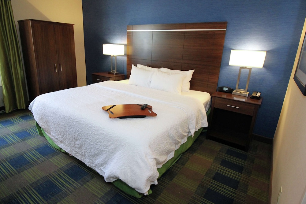 Hampton Inn Sandusky Central - photo 8