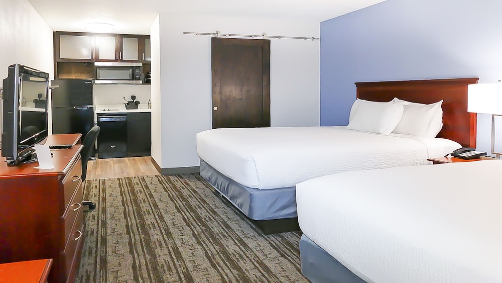 Hotel South Tampa & Suites - photo 7