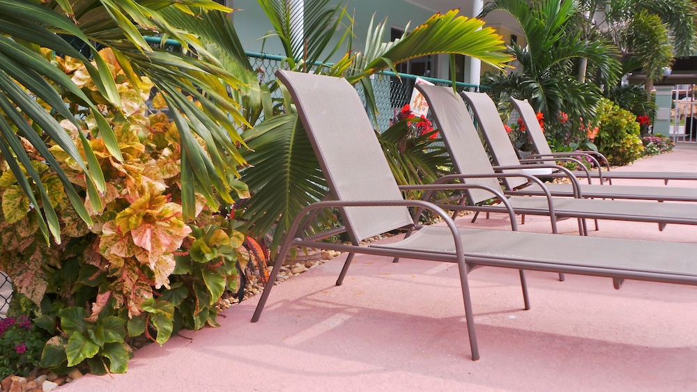 Island House Hotel - photo 51