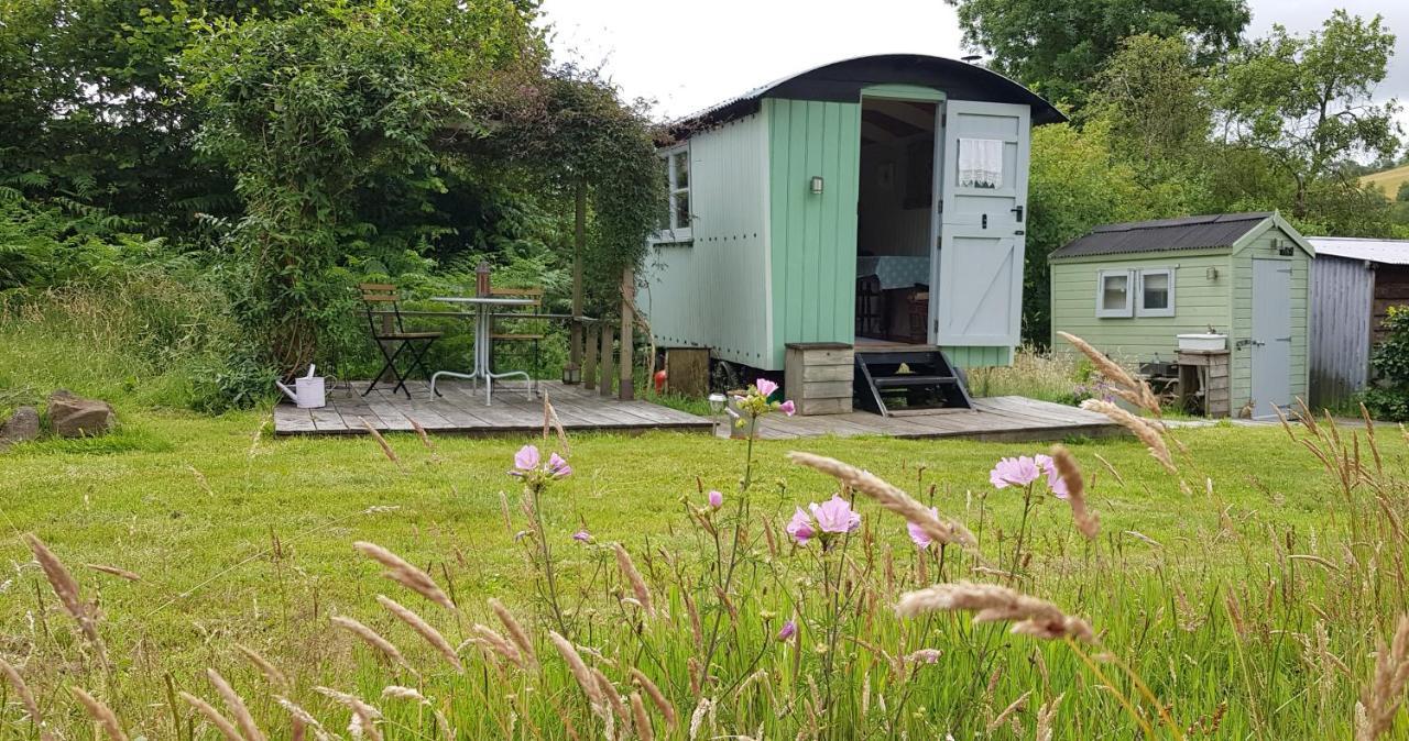 Caban Bryn Arw — hotel in Abergavenny