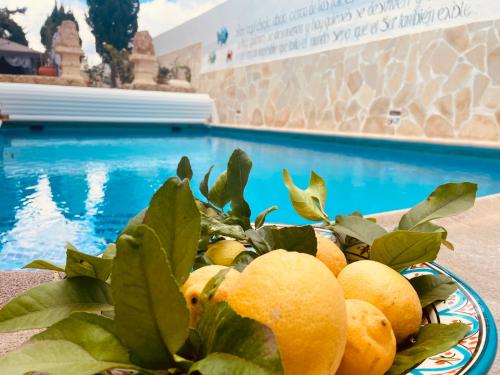 Authentic Canary Style Villa with private pool and garden Casa Juan Vera — 4-Star Luxury Hotel in Granadilla De Abona, Spain