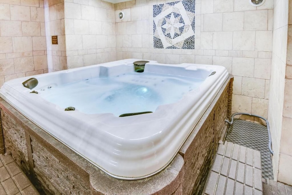 Plaza Suites Downtown New Orleans - photo 30