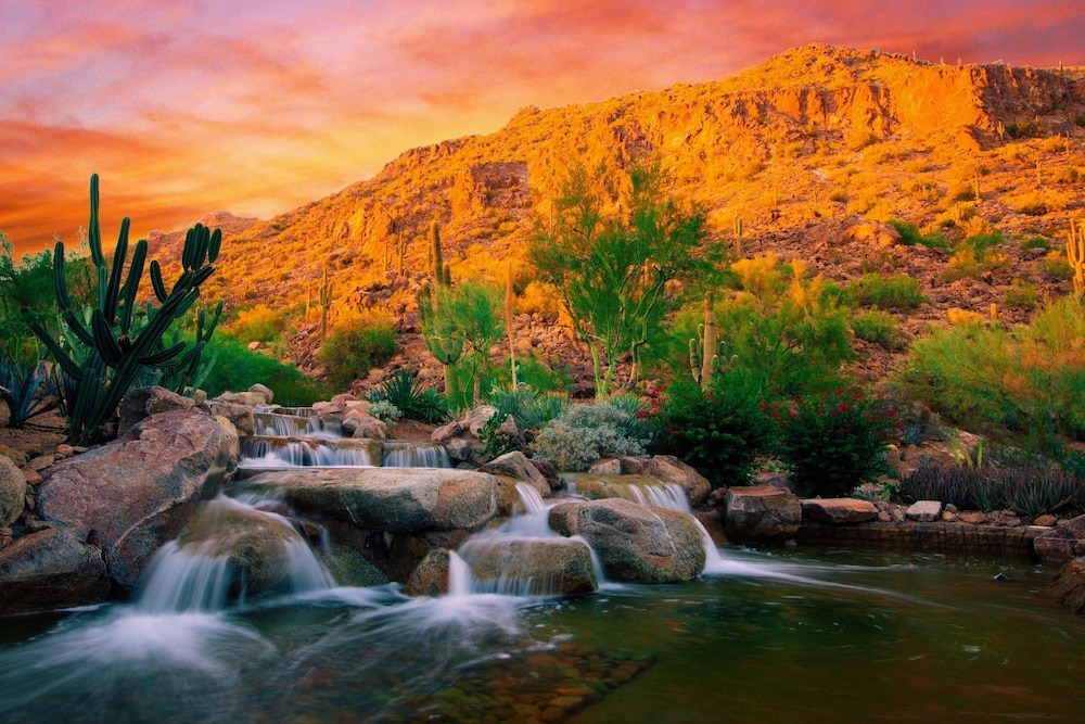The Canyon Suites at The Phoenician Luxury Collection - photo 146