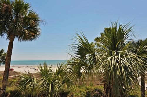 2001 Turtle Lane at The Sea Pines Resort - photo 7