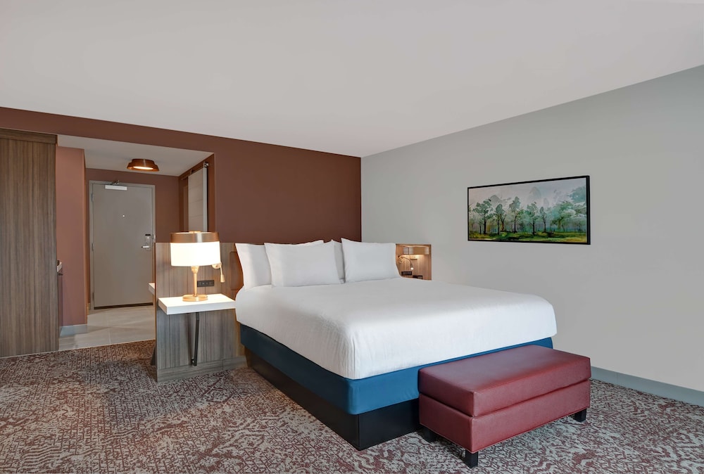 Hilton Garden Inn Madison Huntsville Airport - photo 23